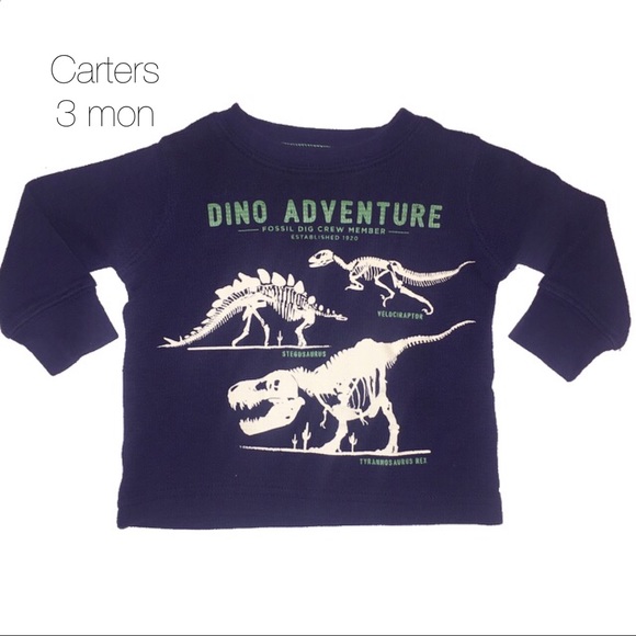 carters dinosaur shirt